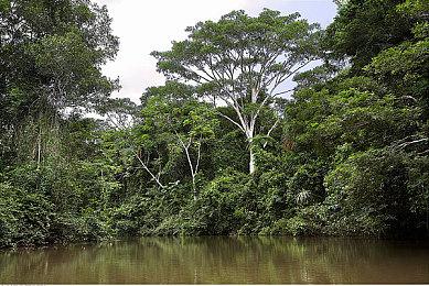 腾讯收购《尤卡莱莉大冒险》开发商Playtonic少数股权